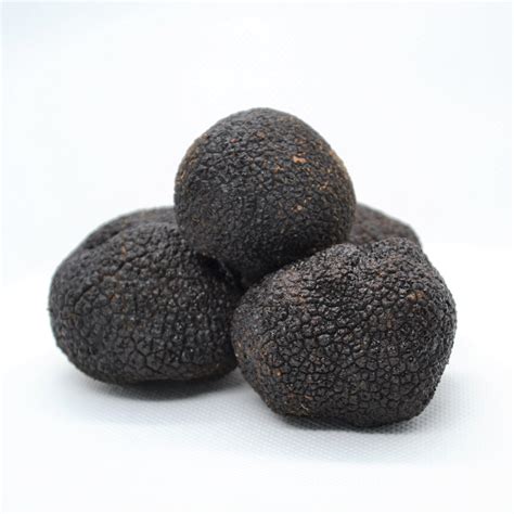 NYC's Premier Truffle Wholesaler .